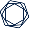 Apex security & governance tool logo