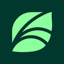 Spring Health healthcare tool logo