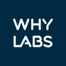 WhyLabs ai infrastructure tool logo