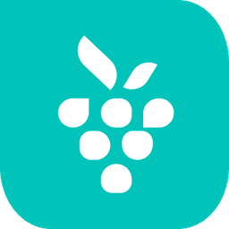 Berrycast video creation tool logo