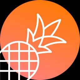 Pineapple Builder no-code / low-code tool logo