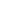 Niantic Spatial visual positioning brand logo icon mark