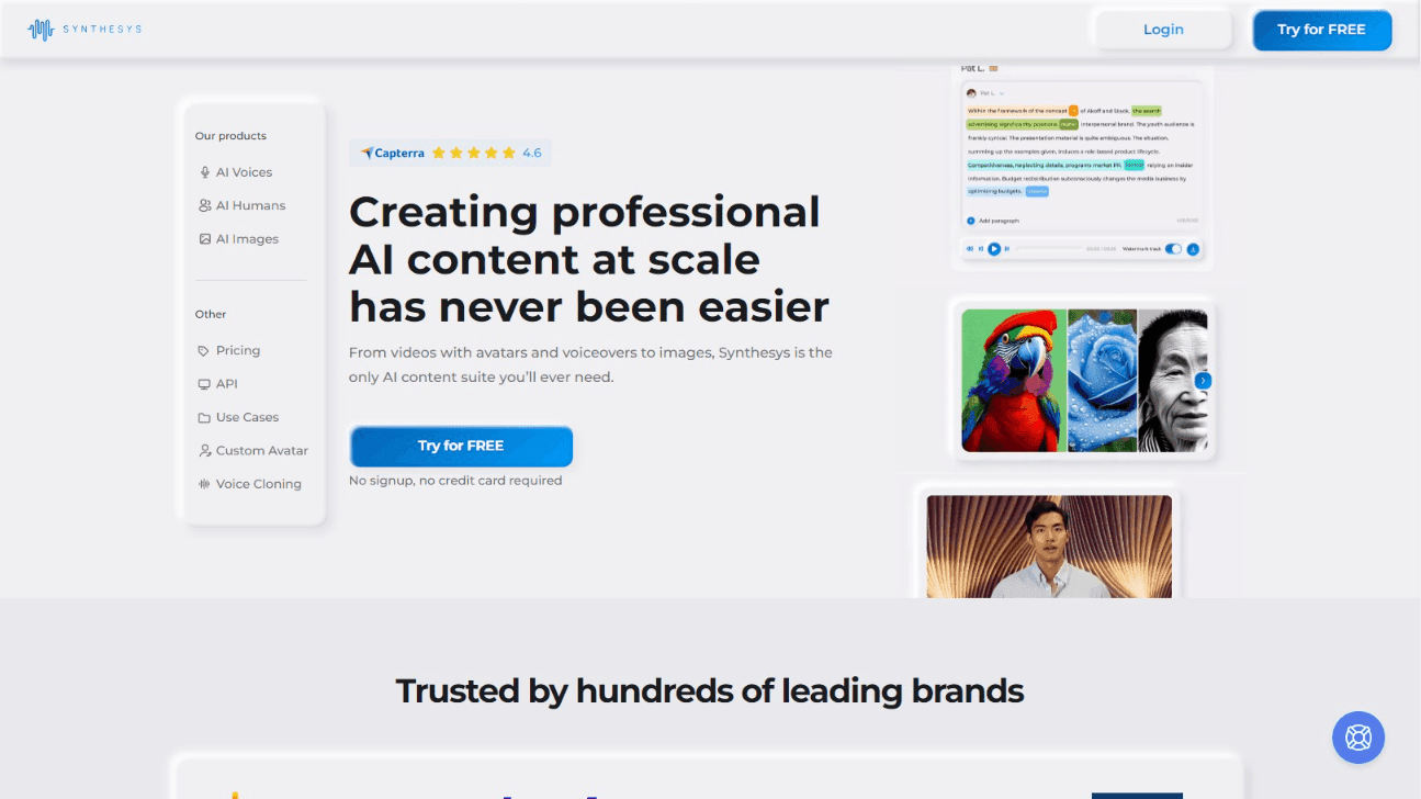 AI Content Creation Suite