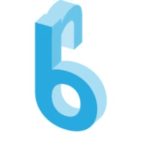 Bossa Nova Robotics logo for the retail shelf-scanning robot company