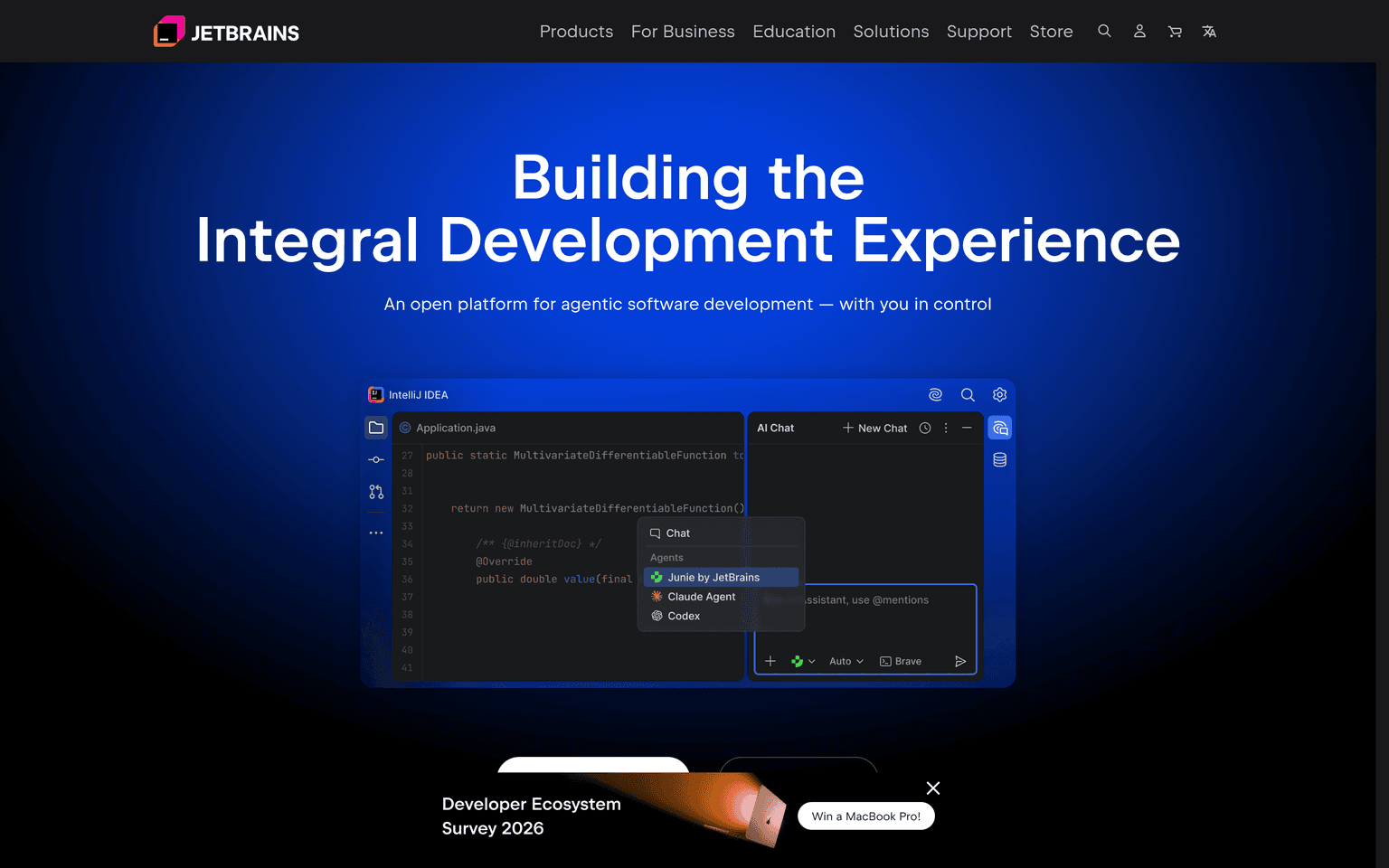 JetBrains product interface dashboard screenshot homepage view