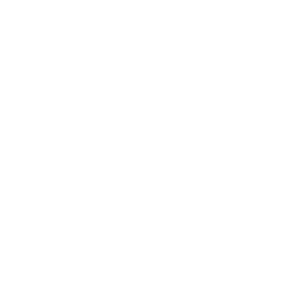 Niantic Spatial visual positioning brand logo icon mark