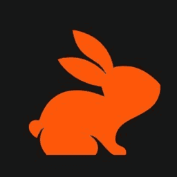 CodeRabbit developer tools tool logo