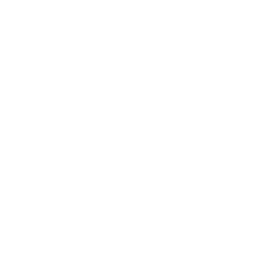 Sturppy bi & analytics tool logo