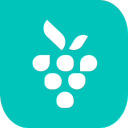 Berrycast video creation tool logo