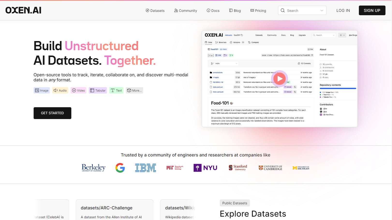 AI dataset version control interface