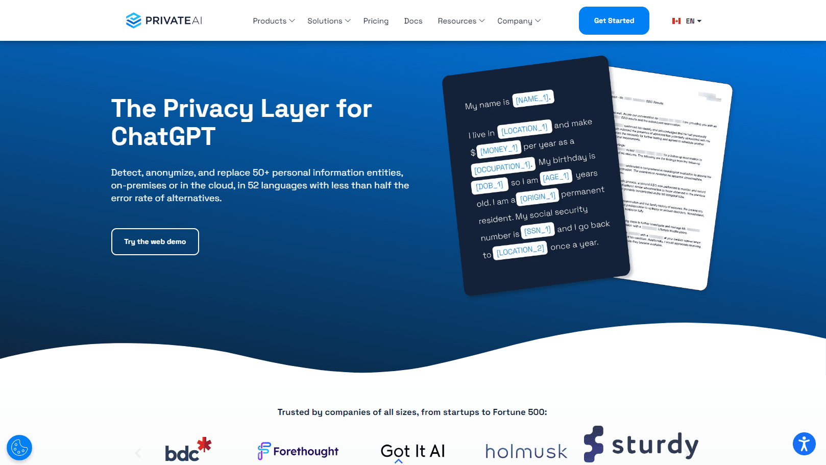 AI-driven data privacy platform interface