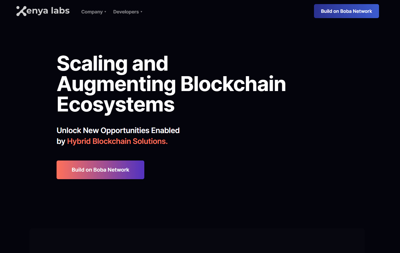 Enya's platform interface showcasing hybrid blockchain solutions.