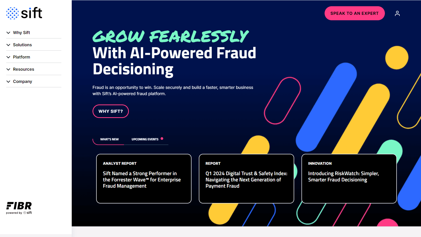 Fraud detection platform interface