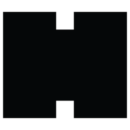 HEAVY.AI logo