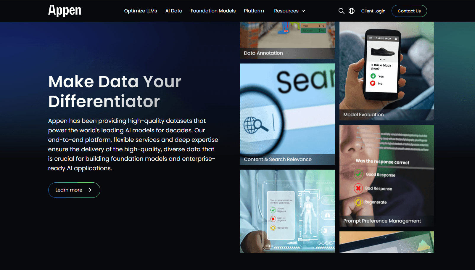 High-quality AI data services