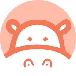Hippo Video logo with a stylized hippopotamus