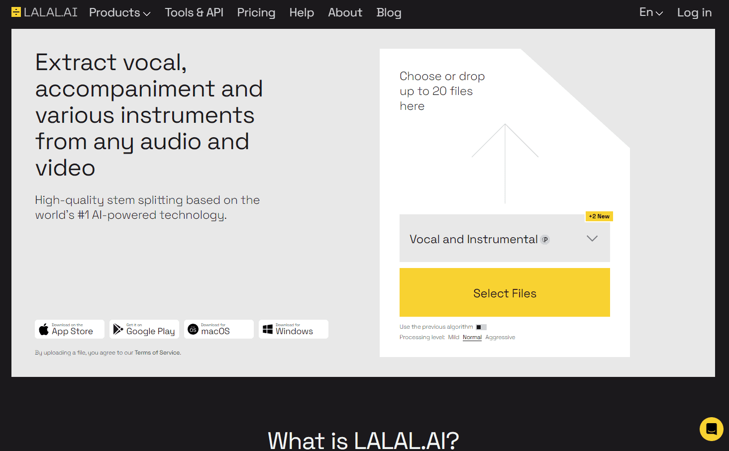 LALAL.AI Vocal and Instrument Splitter