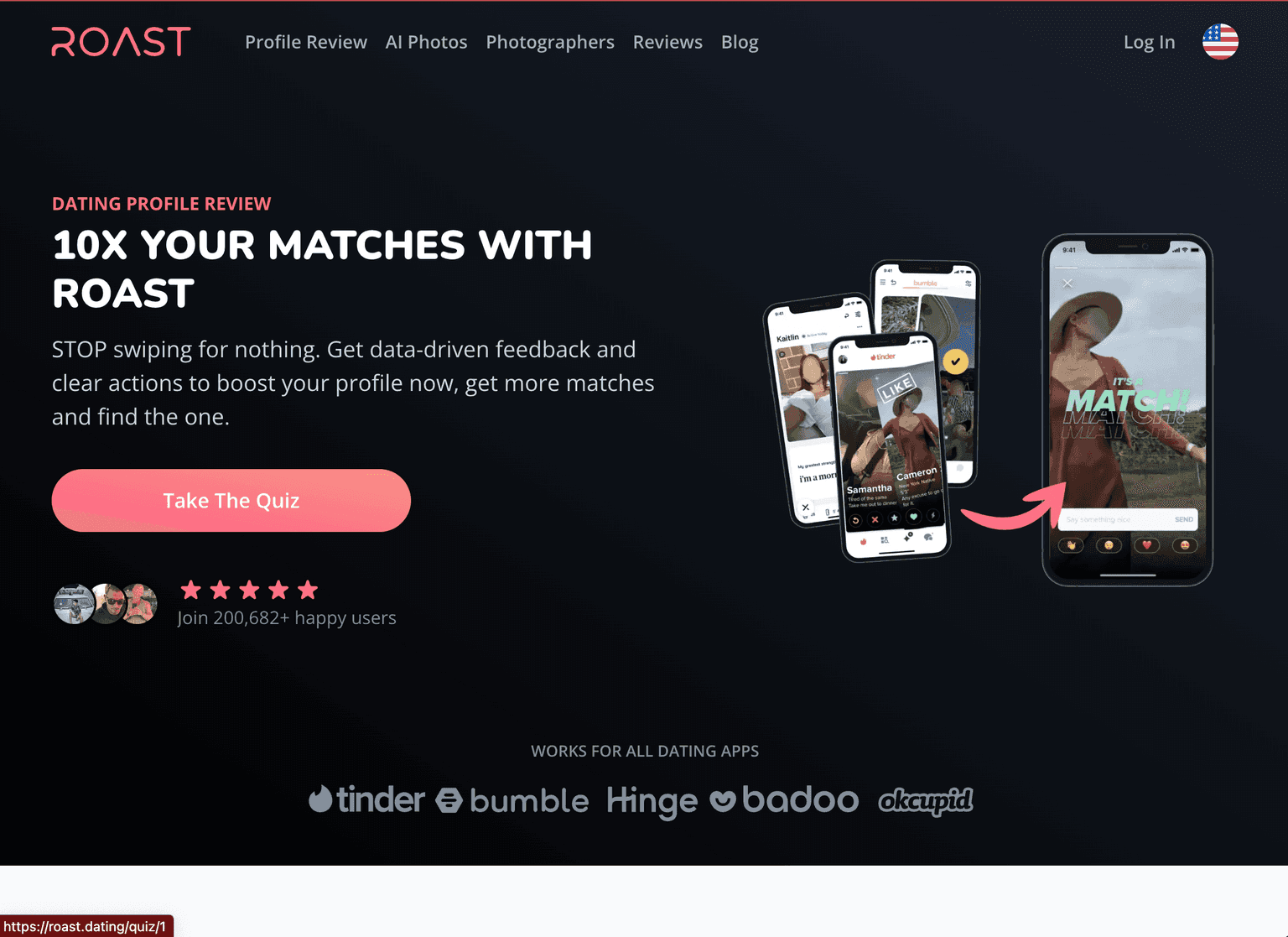 ROAST - Dating Profile Review Service