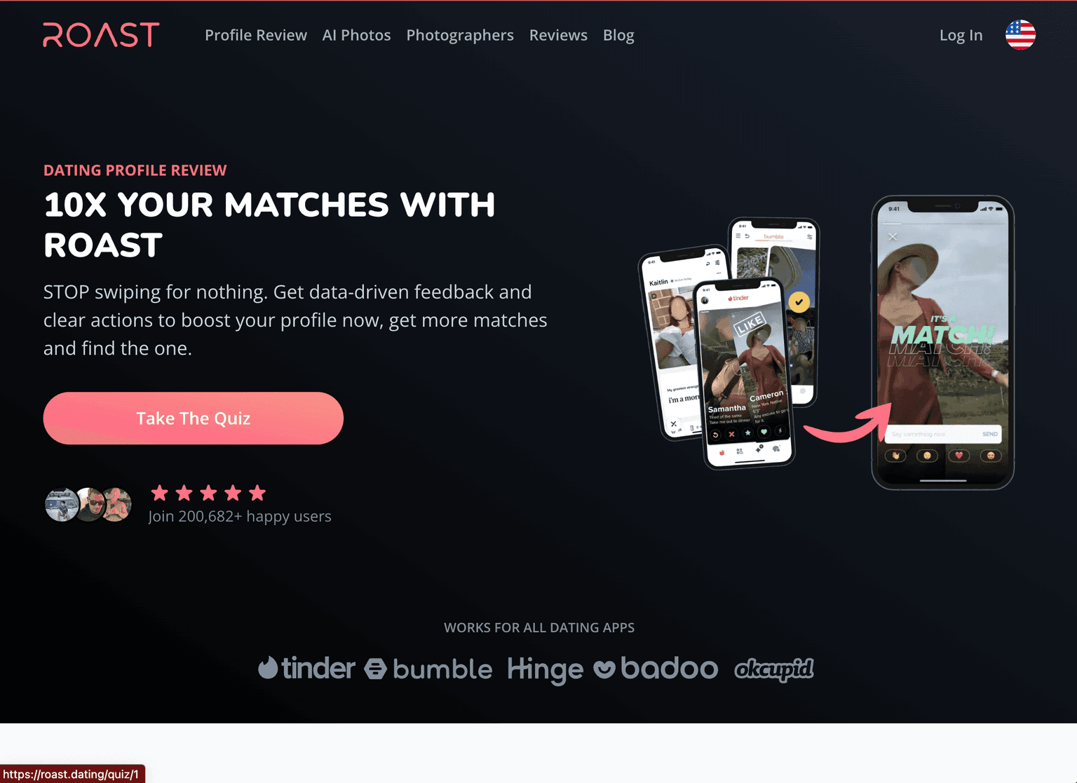 ROAST - Dating Profile Review Service