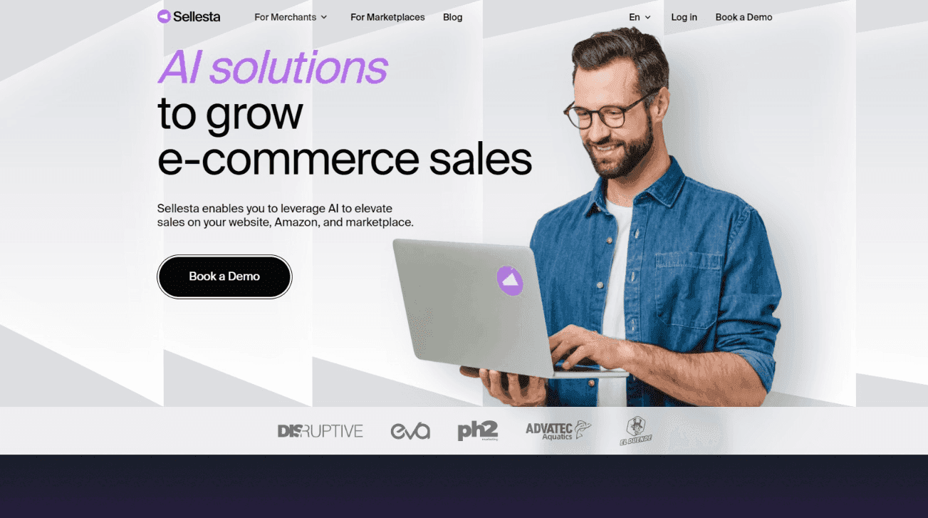 Sellesta E-commerce Sales Tool
