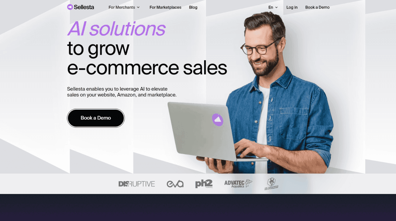 Sellesta E-commerce Sales Tool