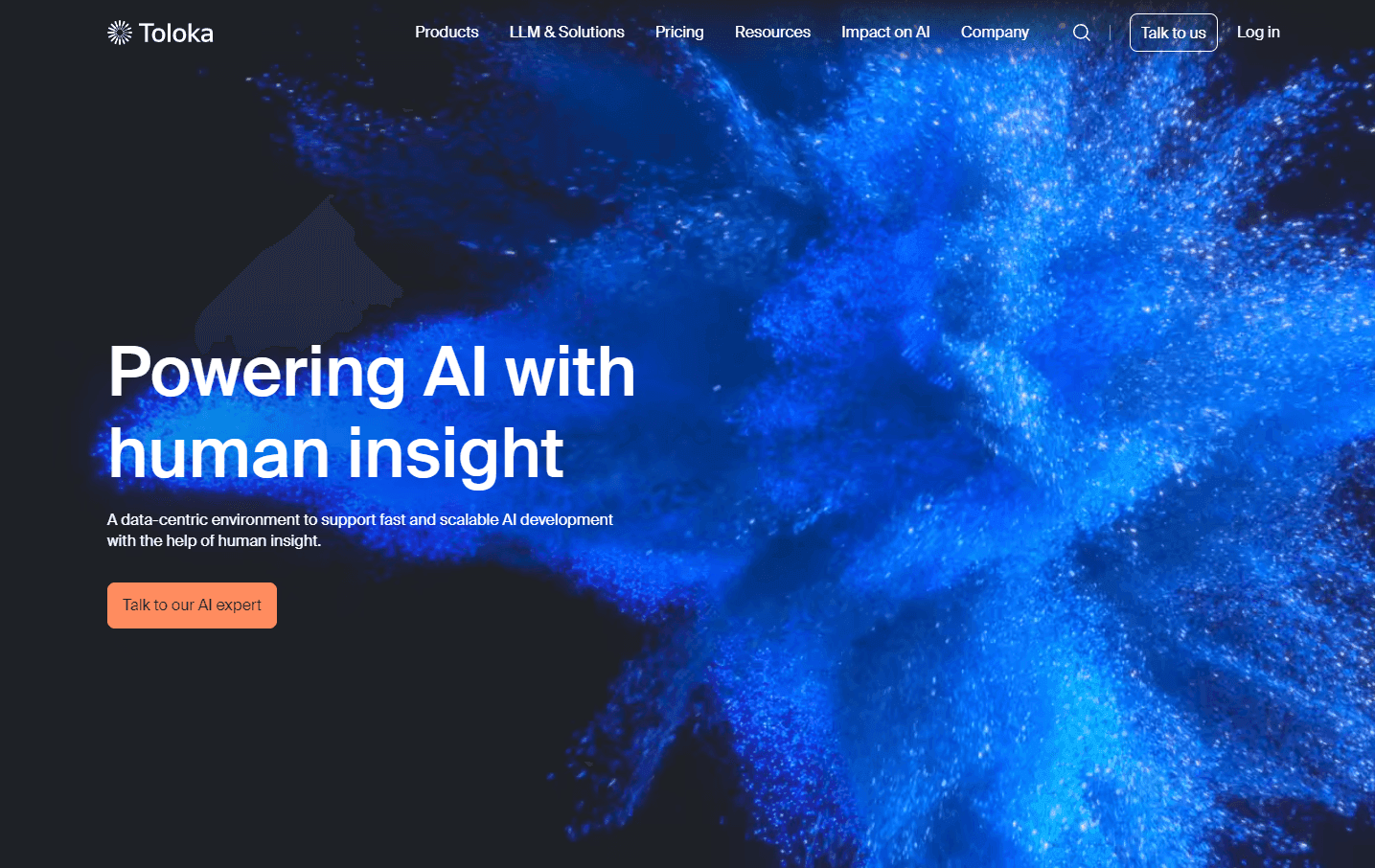 Toloka AI platform interface