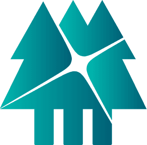 Vald Logo