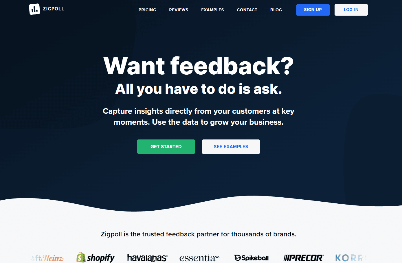 Zigpoll platform interface showcasing survey tools