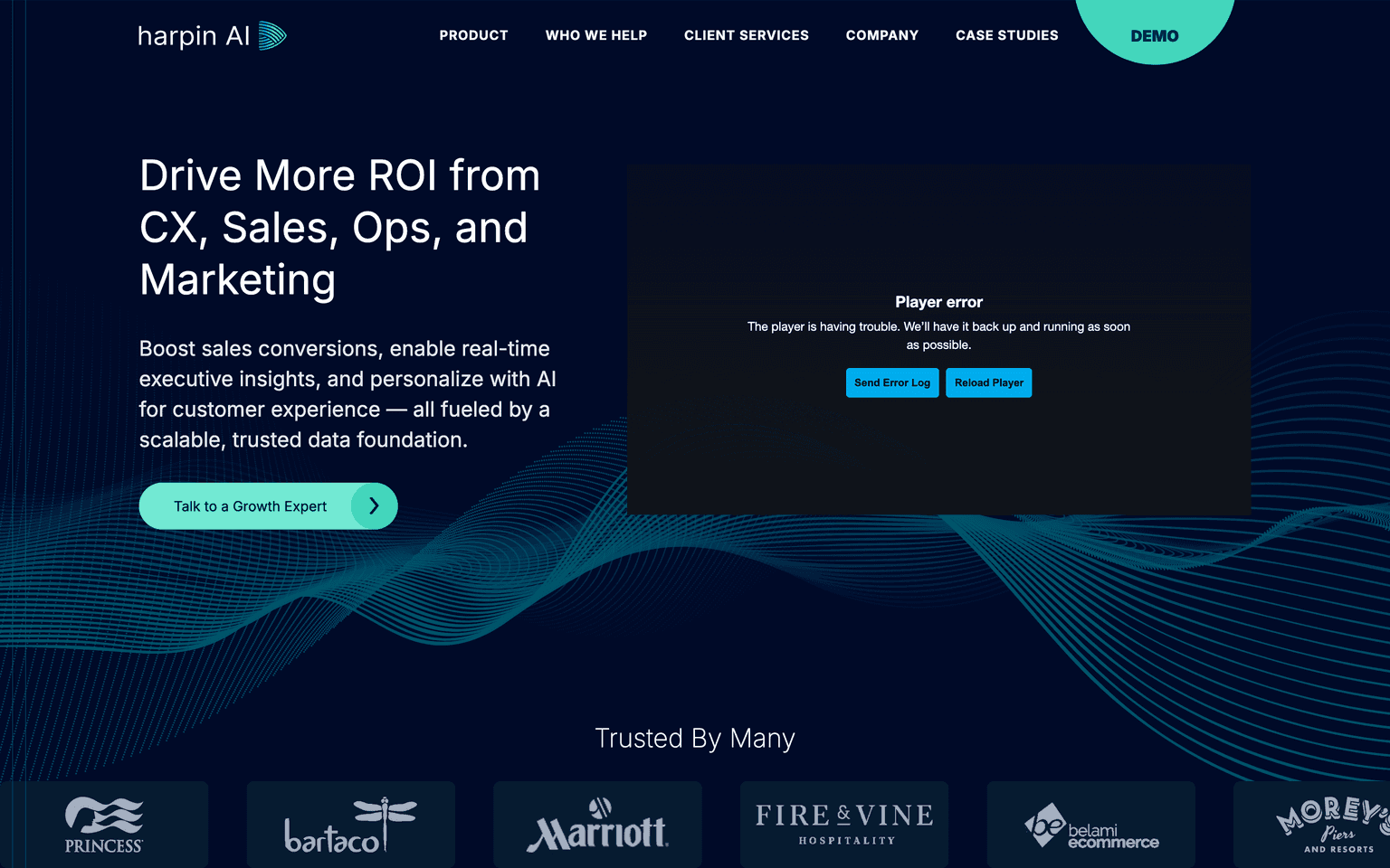 harpin AI landing page describing real-time customer identity resolution and a unified customer view