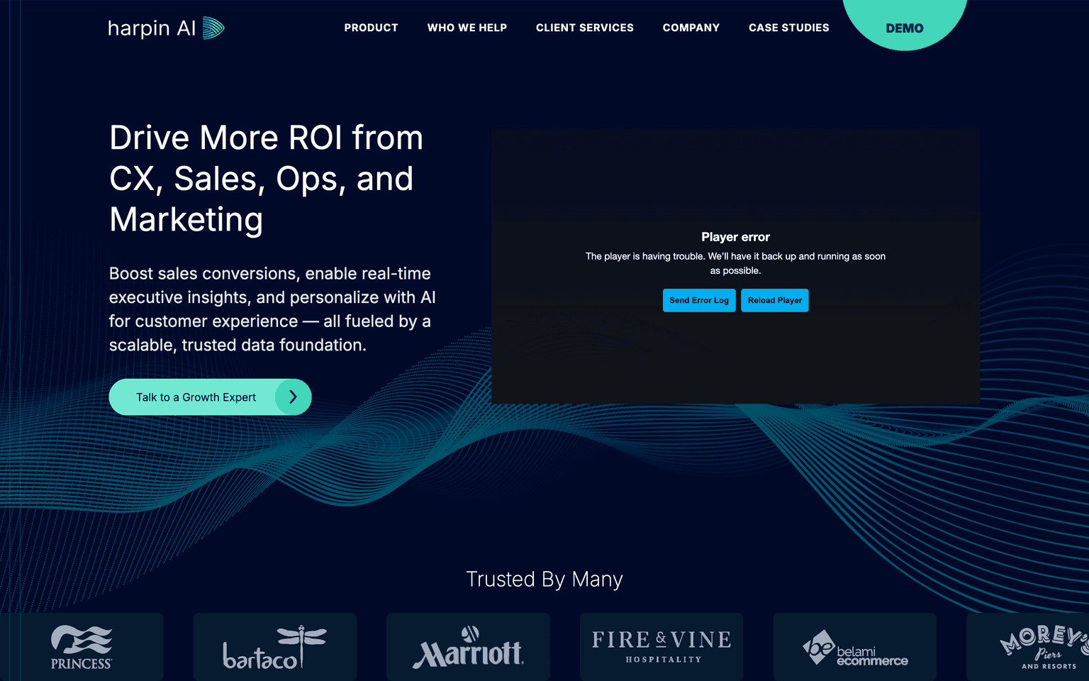 harpin AI landing page describing real-time customer identity resolution and a unified customer view