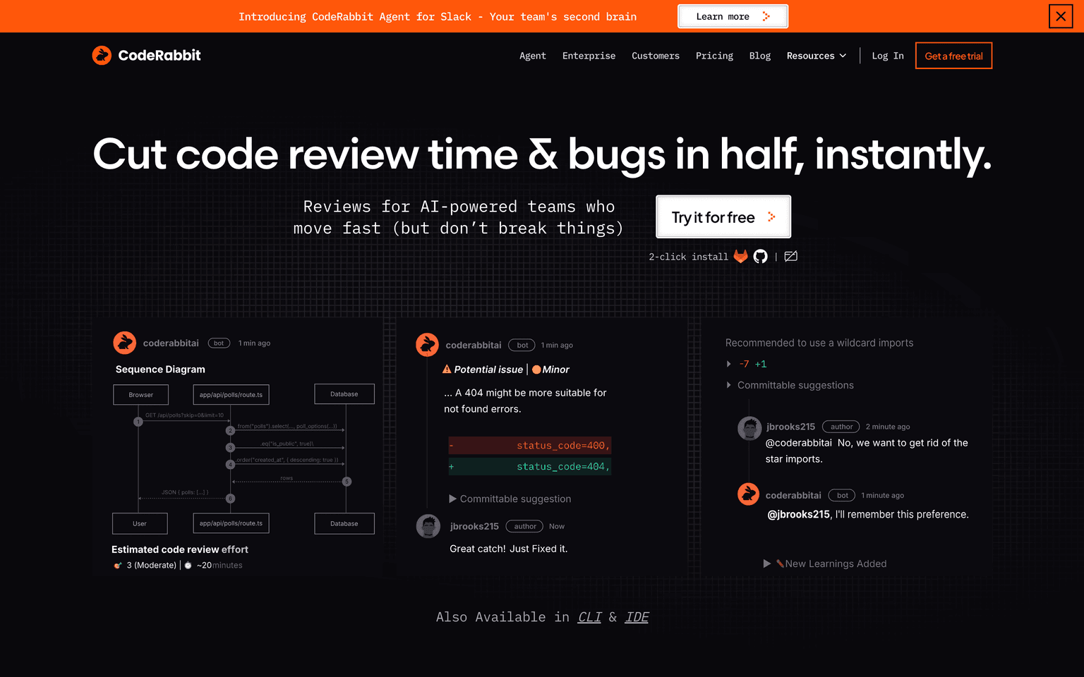 CodeRabbit Screenshot