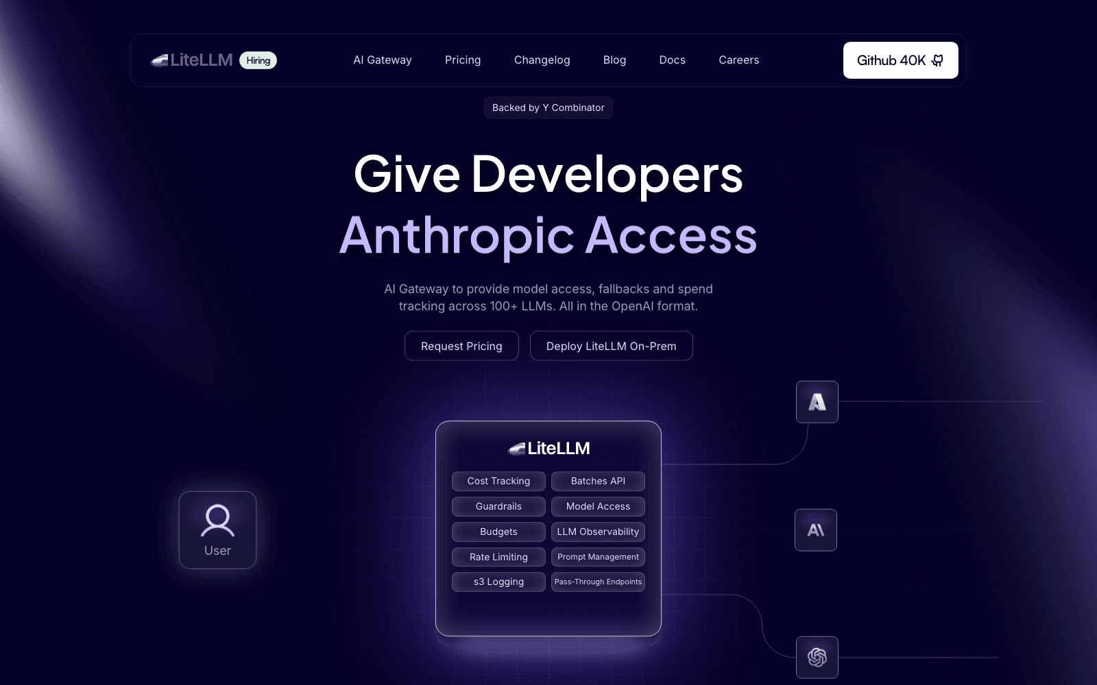 LiteLLM ai infrastructure tool screenshot