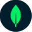 MongoDB database company green leaf logo brand mark
