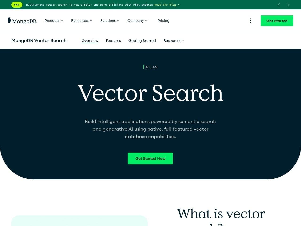 MongoDB Atlas Vector Search product landing page screenshot interface