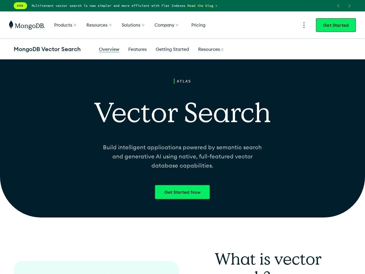 MongoDB Atlas Vector Search product landing page screenshot interface