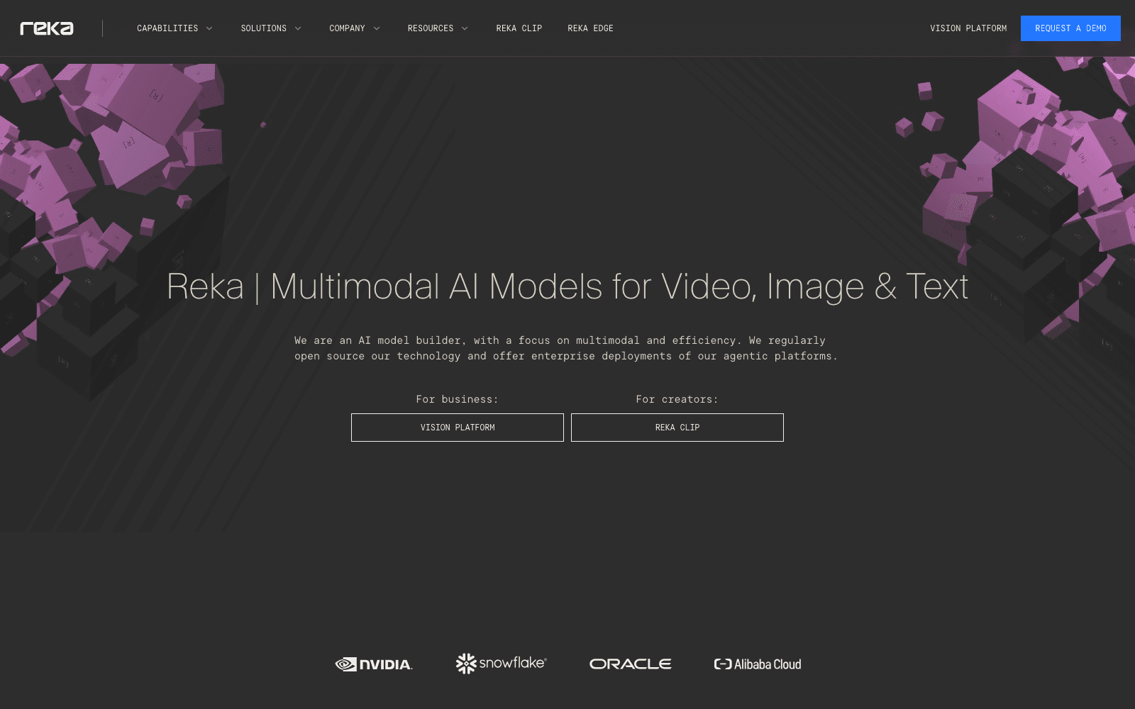 Reka AI ai infrastructure tool screenshot