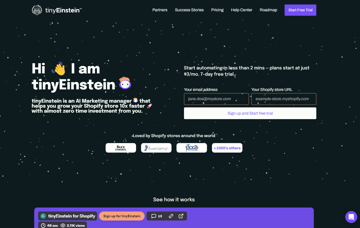 tinyEinstein AI Marketing Dashboard