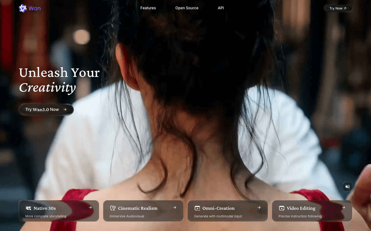 Wan homepage screenshot showing the product interface and branding