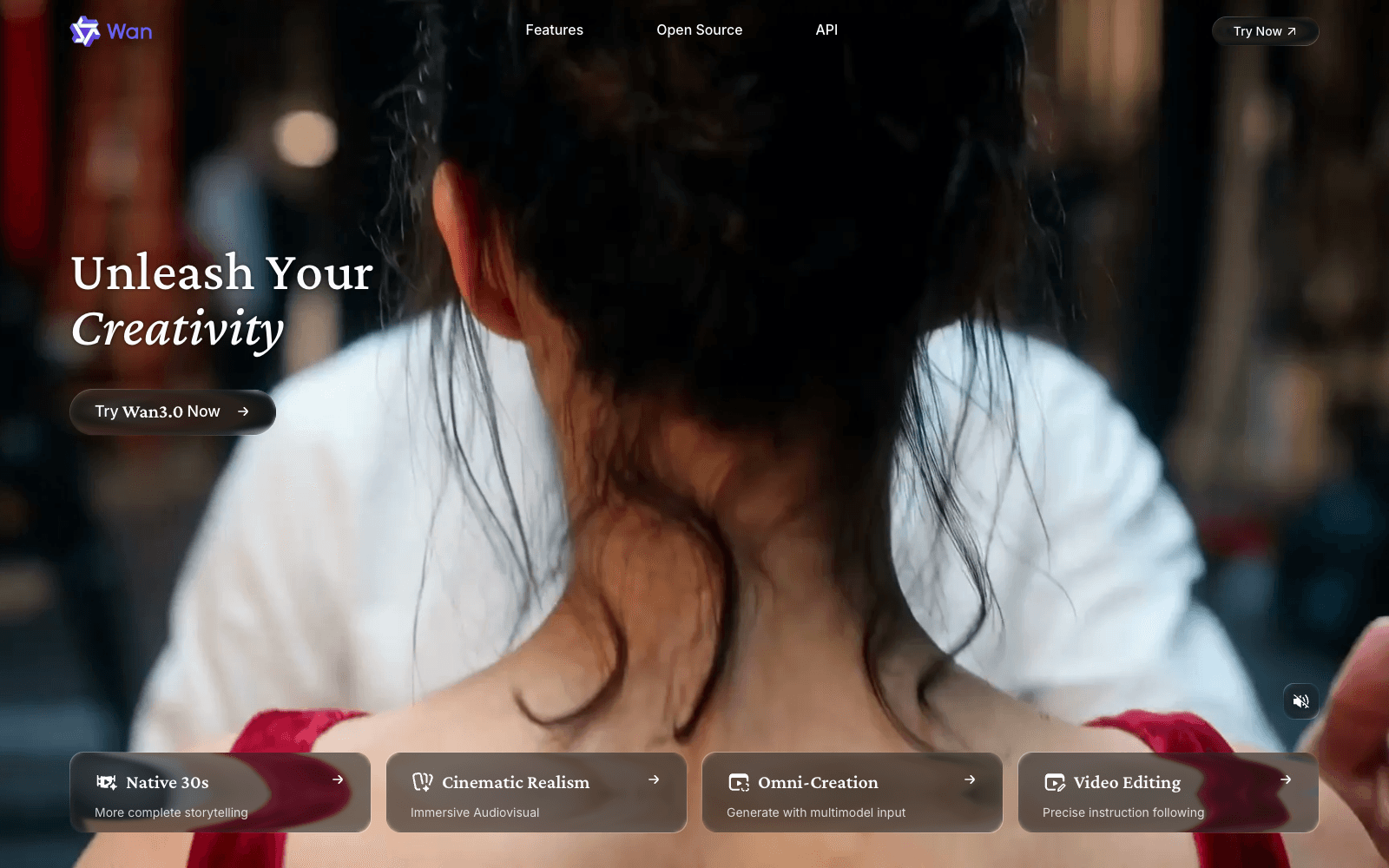 Wan homepage screenshot showing the product interface and branding
